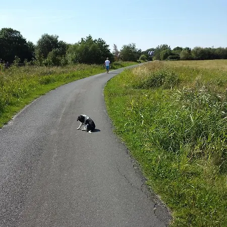 Bauernhof Suedfrersbuell Hébergement de vacances Neukirchen (Nordfriesland)