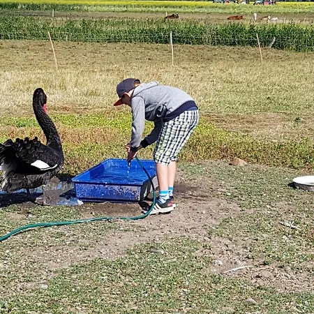 Bauernhof Suedfrersbuell Hébergement de vacances Neukirchen (Nordfriesland)