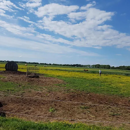Bauernhof Suedfrersbuell Hébergement de vacances *
