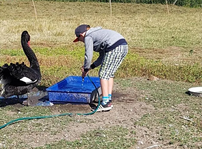 Bauernhof Suedfrersbuell Nyaraló Neukirchen