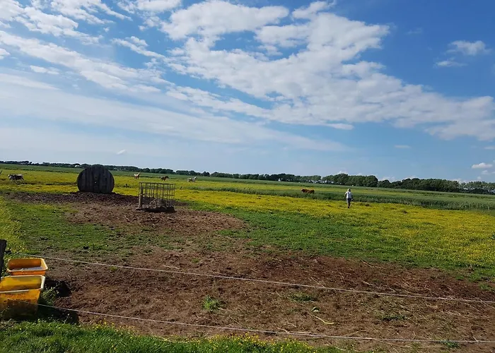 Bauernhof Suedfrersbuell Nyaraló *